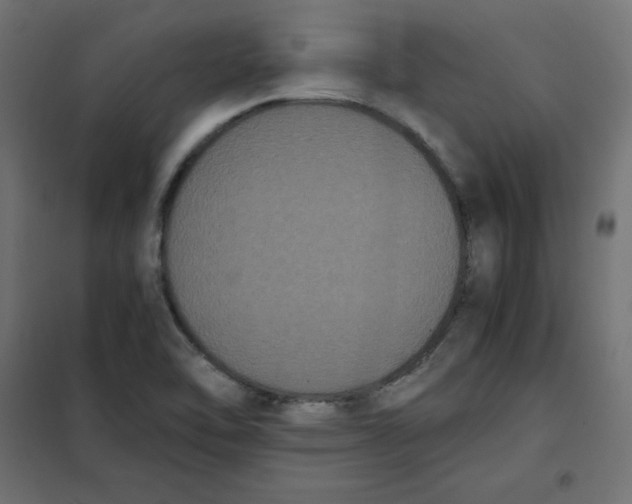 X0000101391462200807280926