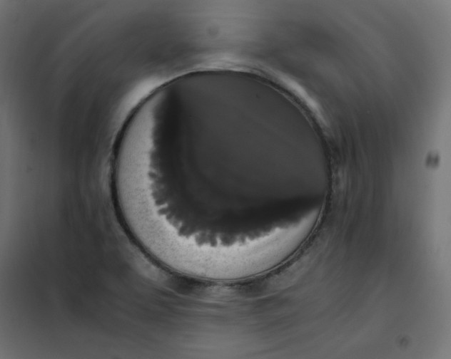 X0000101391463200807280926