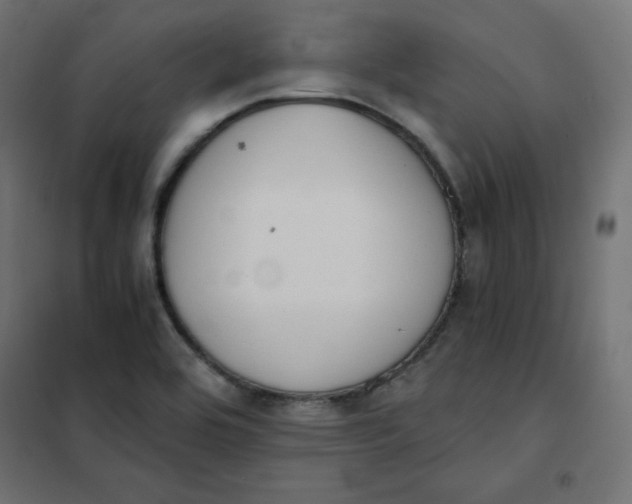 X0000101391464200807280926