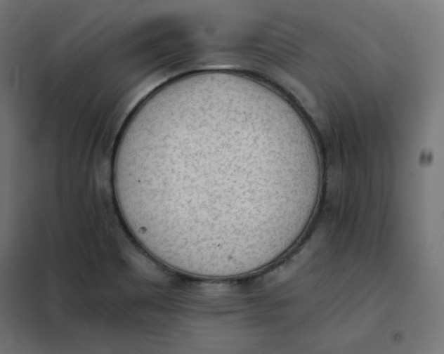 X0000101391465200807280926