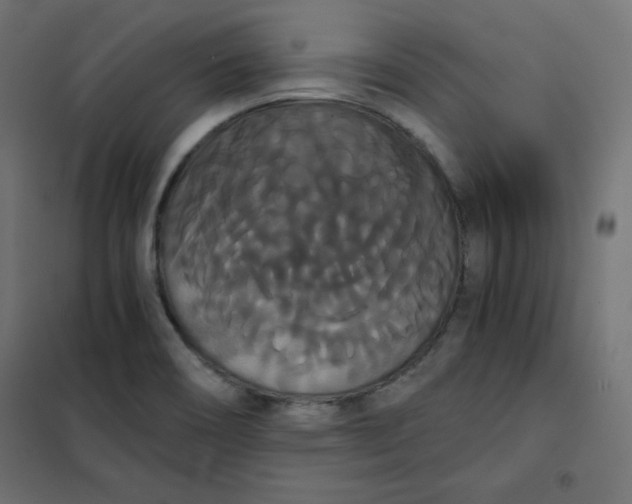 X0000101391466200807280926