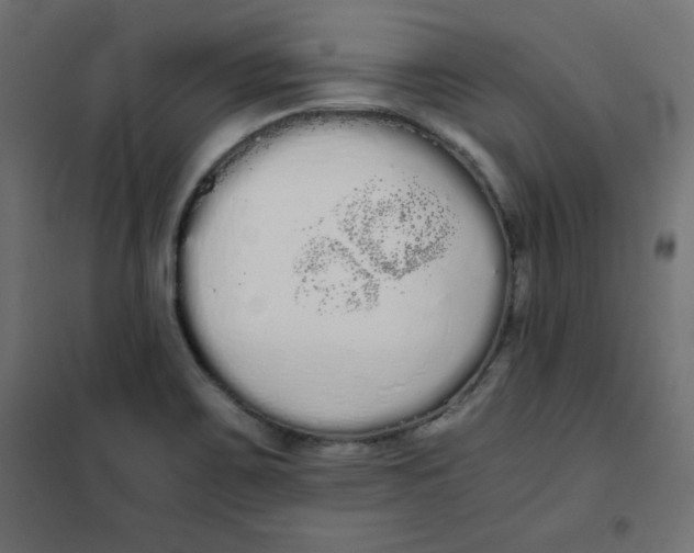 X0000101391467200807280926