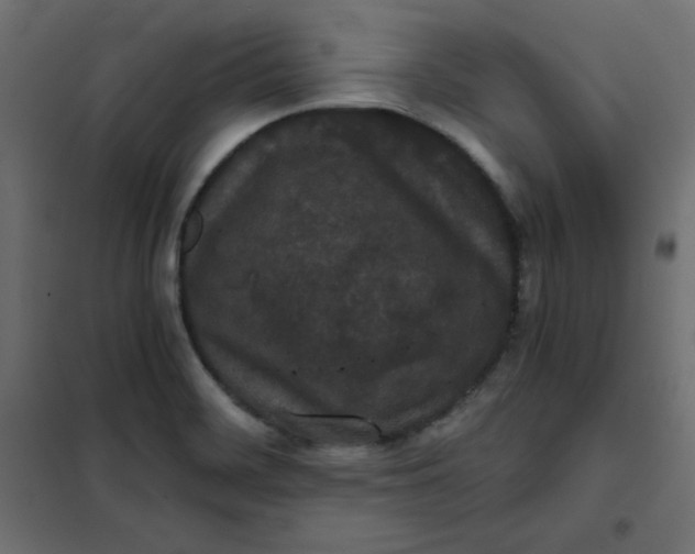 X0000101391468200807280926