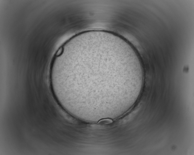 X0000101391469200807280926