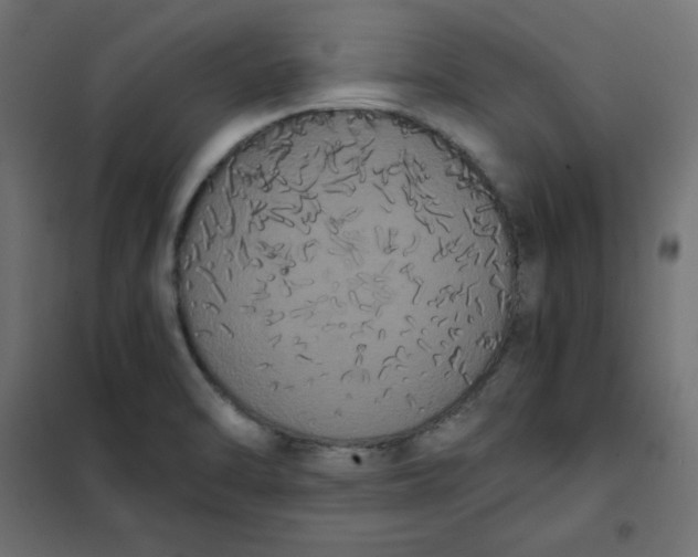 X0000101391470200807280926