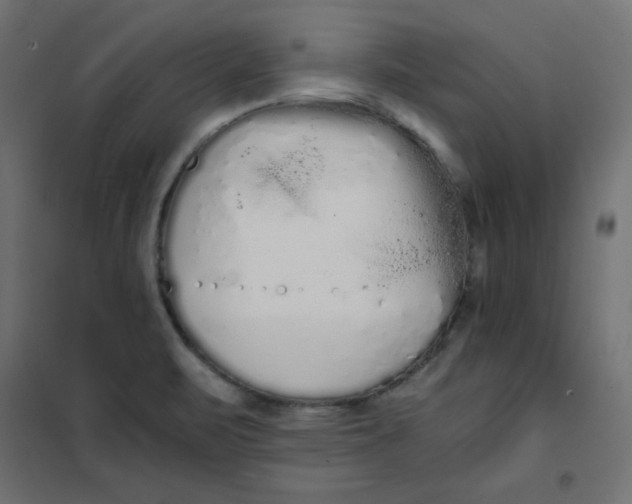 X0000101391471200807280926