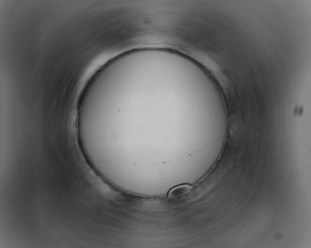 X0000101391472200807280926