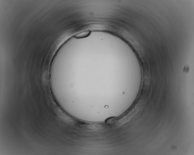 X0000101391473200807280926