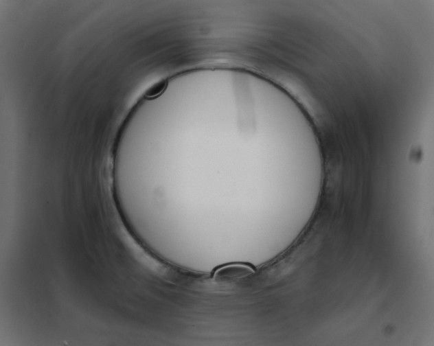 X0000101391476200807280926