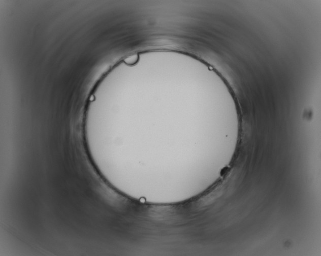 X0000101391477200807280926