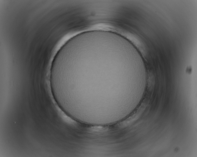 X0000101391478200807280926