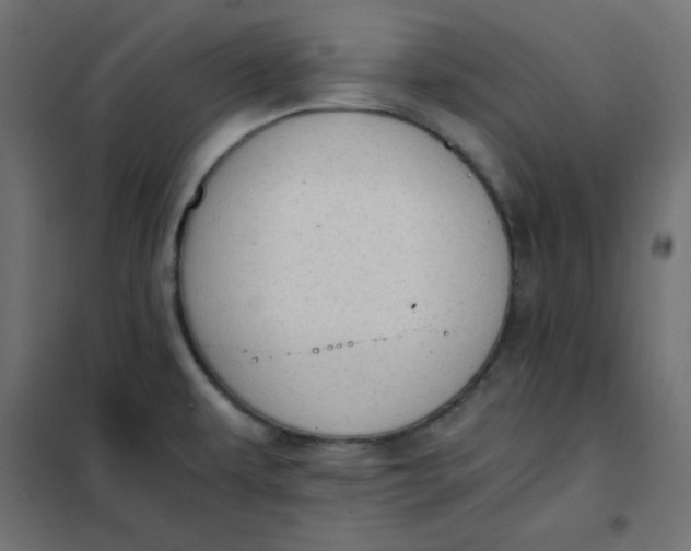 X0000101391479200807280926