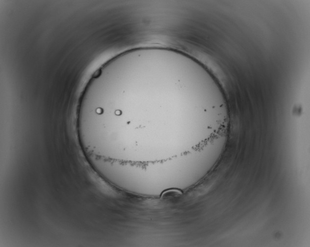 X0000101391480200807280926