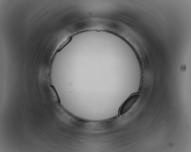 X0000101391481200807280926