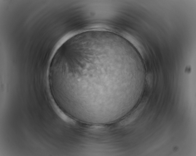 X0000101391482200807280926