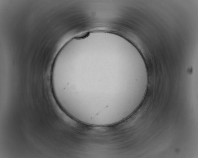 X0000101391483200807280926