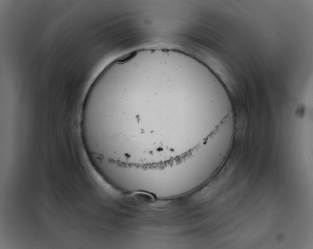 X0000101391484200807280926