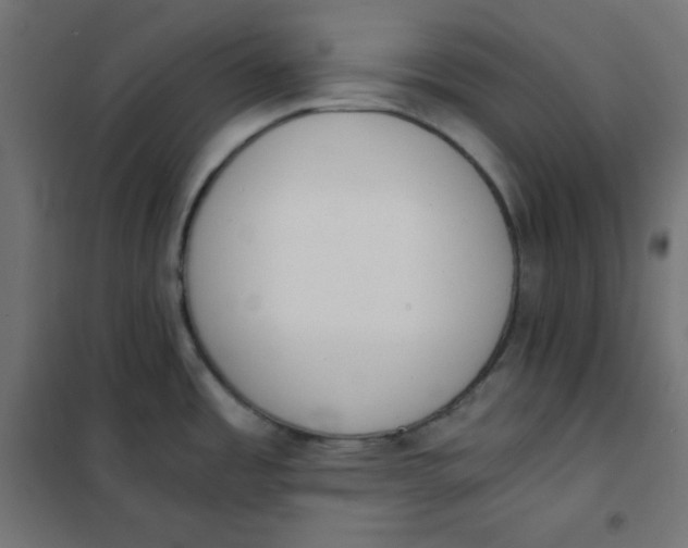 X0000101391485200807280926