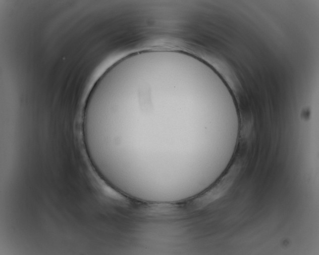 X0000101391486200807280926