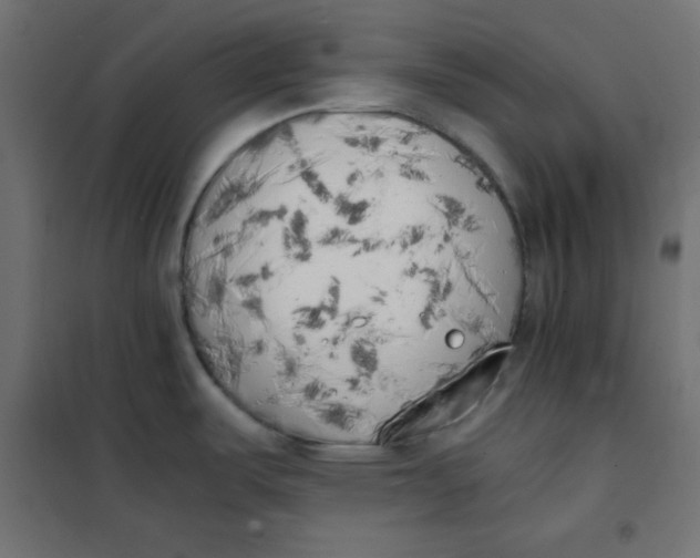 X0000101391487200807280926