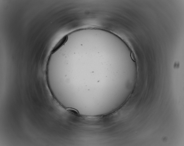 X0000101391488200807280926