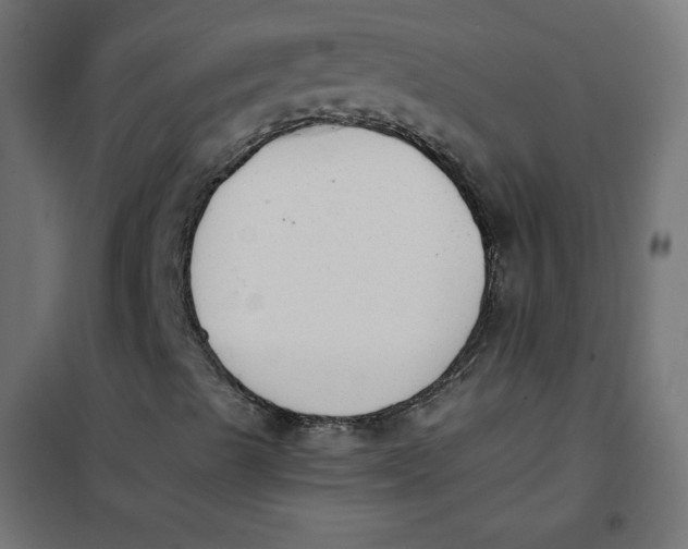 X0000101391489200807280925