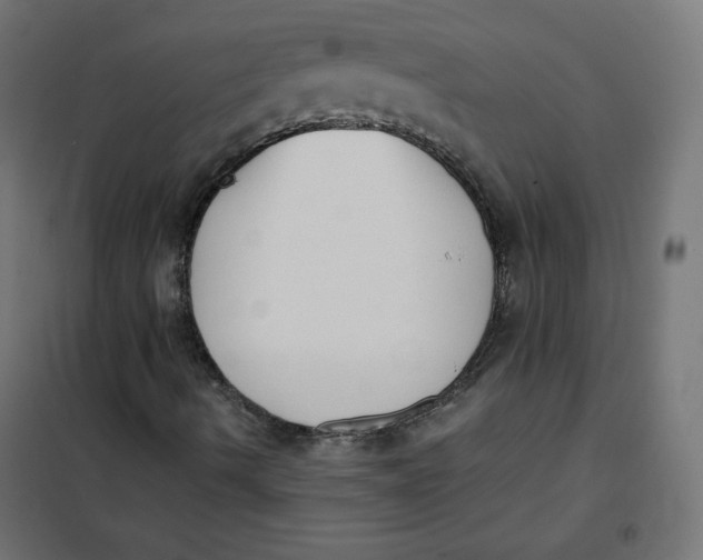 X0000101391490200807280925