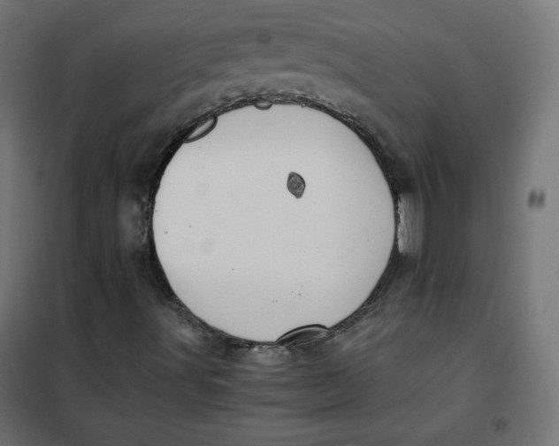 X0000101391491200807280925