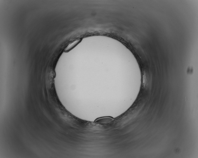 X0000101391492200807280925