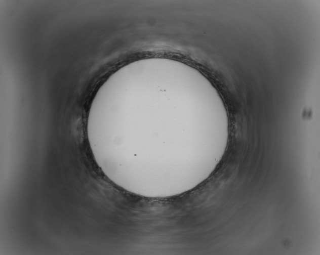 X0000101391493200807280925