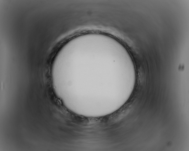 X0000101391494200807280925