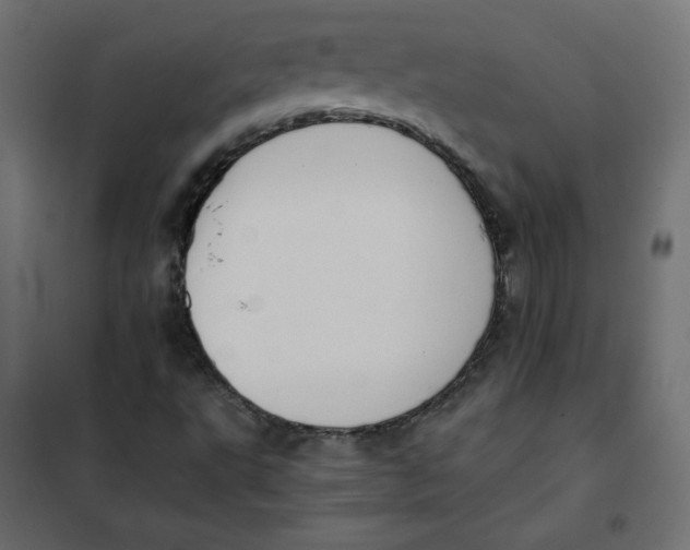 X0000101391495200807280925