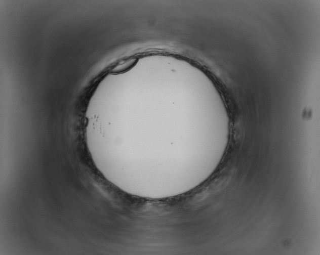 X0000101391496200807280925