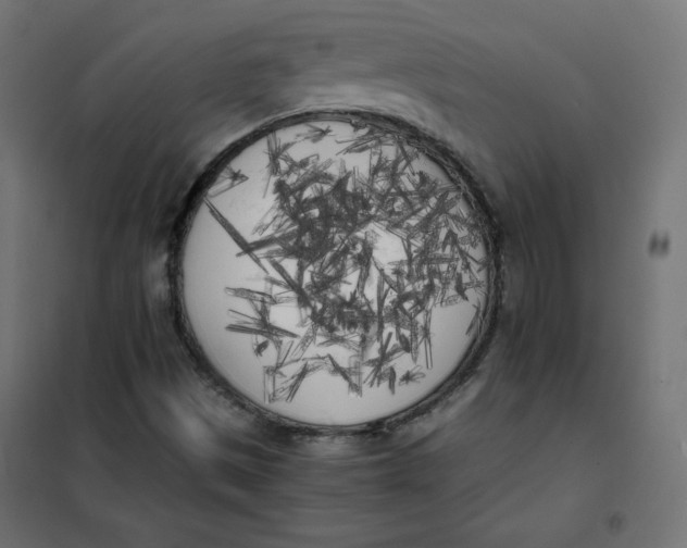 X0000101391497200807280925