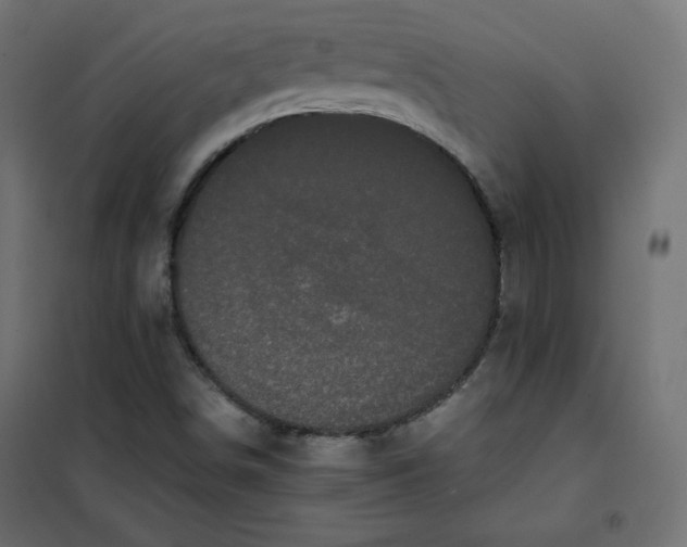 X0000101391498200807280925