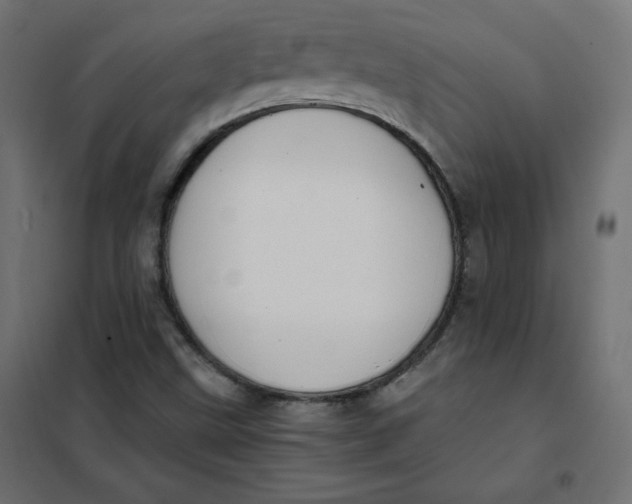 X0000101391499200807280925