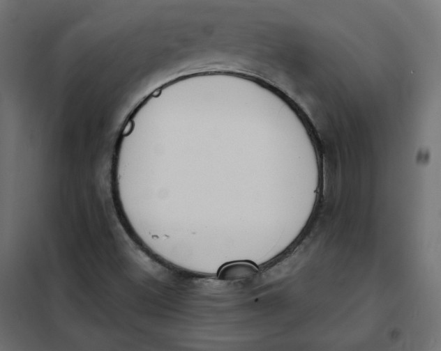 X0000101391500200807280925