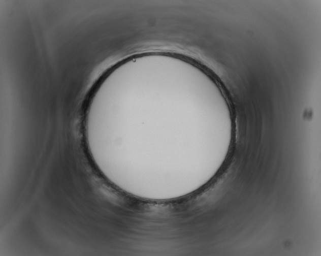 X0000101391501200807280925