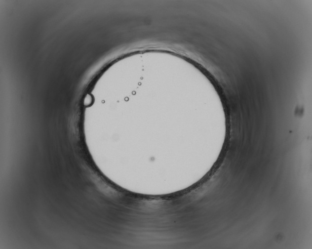 X0000101391502200807280925