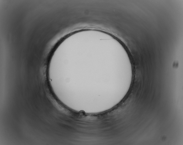 X0000101391503200807280925