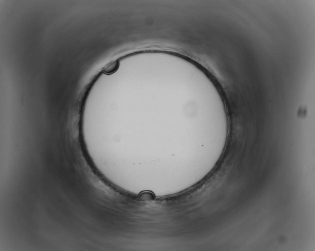 X0000101391504200807280925