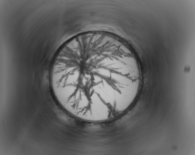 X0000101391505200807280925