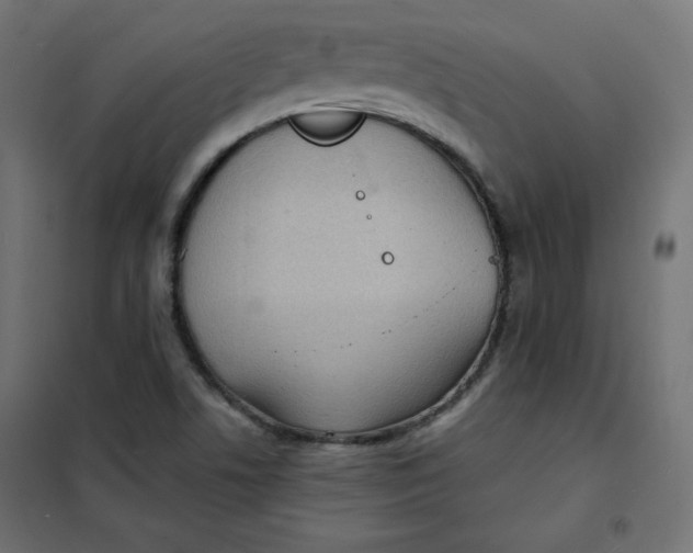 X0000101391506200807280925