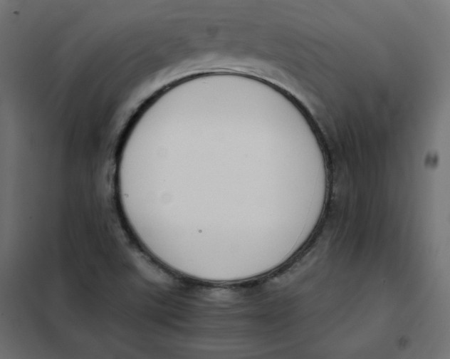 X0000101391507200807280925