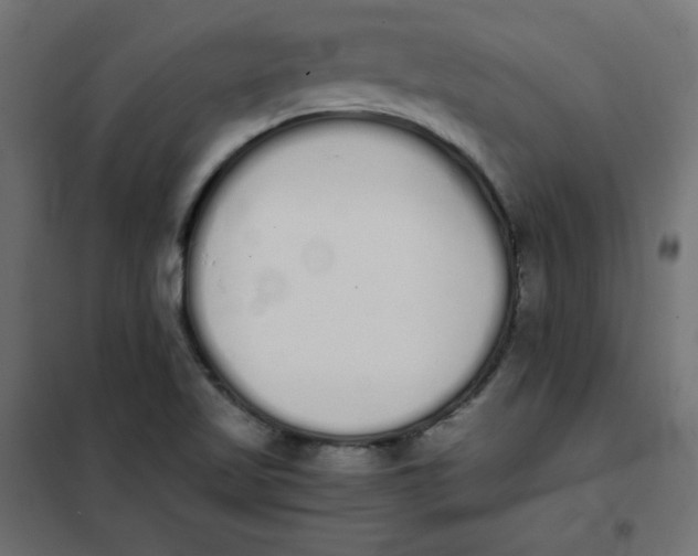 X0000101391509200807280925