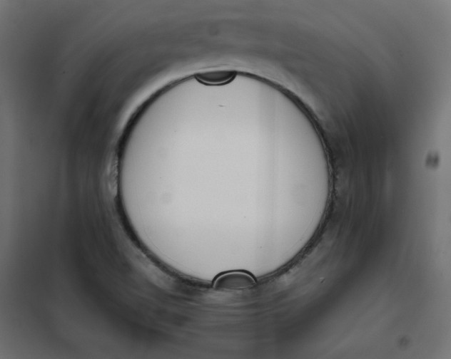 X0000101391510200807280925