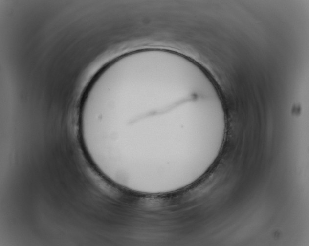 X0000101391511200807280925