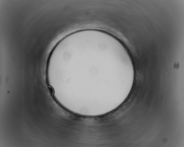 X0000101391512200807280925