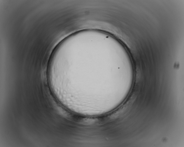 X0000101391513200807280925