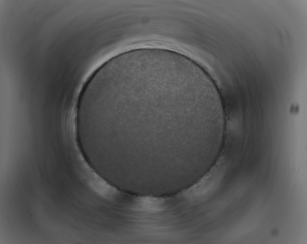 X0000101391514200807280925